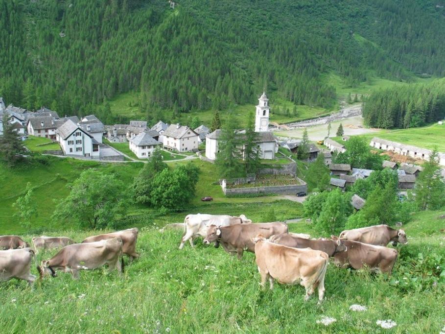 Casa Di Vacanza Giovanibosco Exteriér fotografie